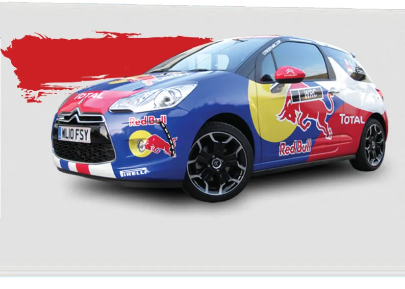 Covering de voiture protégé par le vernis 98-500